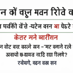 co applicant meaning in hindi