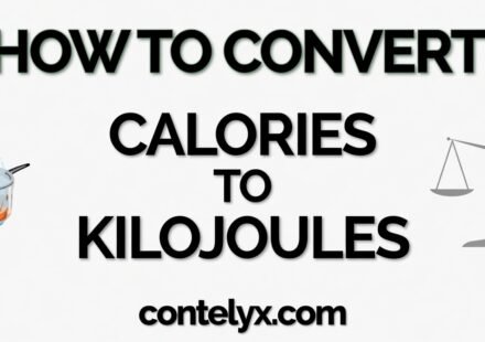 kj to calories converter app