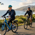 schwinn electric bike